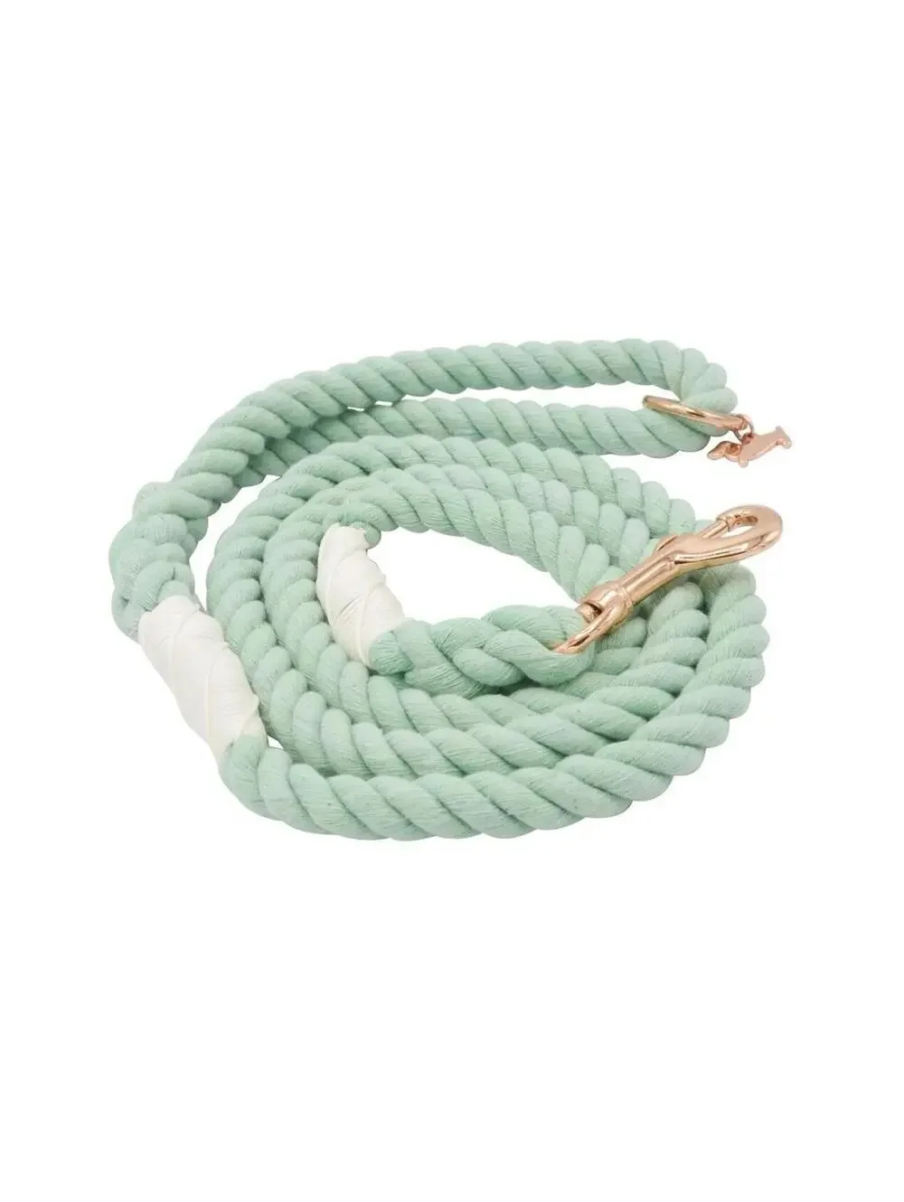 (RGB3) Sassy Woof Mint To Be Braided Rope Dog Leash 5ft Green Gray Rose Gold